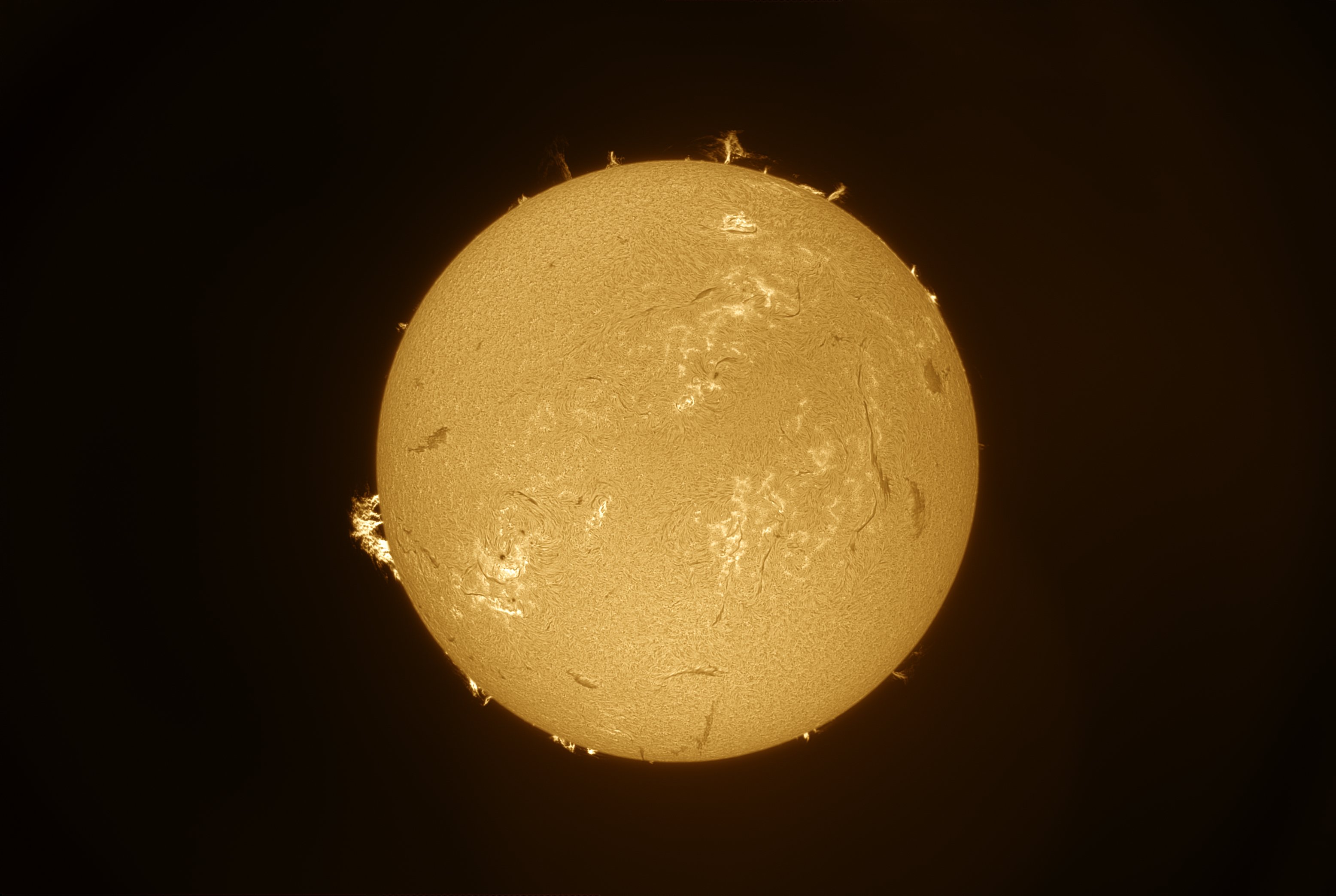 Fête de la science avec Observation du Soleil